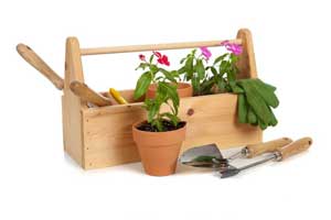 image01